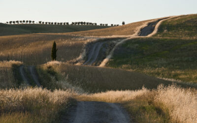Outdoor vacation. Cycling through the trails of the Val d’Orcia
